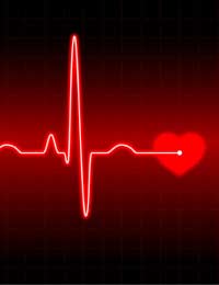 Heart Beat Rhythm Rate Bradycardia Sinus