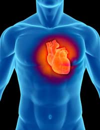 Blood Pressure Echocardiogram Heart