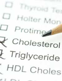 Cholesterol Cholesterol Level Statins